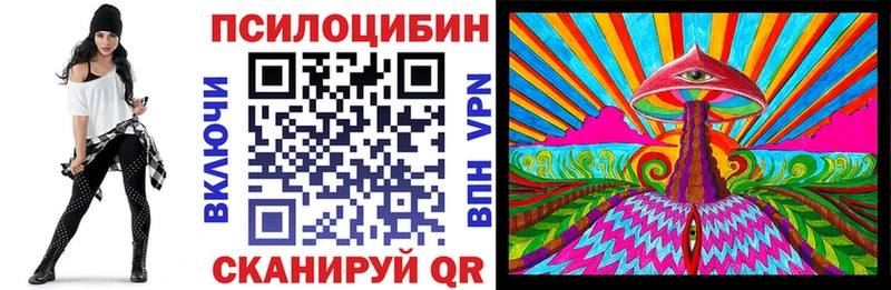где найти   Ершов  Псилоцибиновые грибы Cubensis 